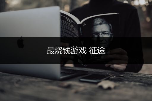 最烧钱游戏 征途